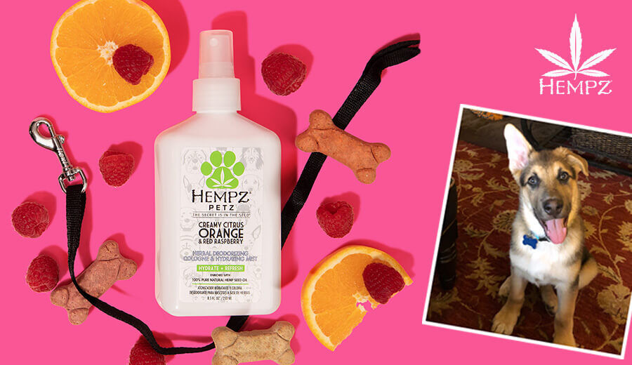 Professional Hempz SalonCentric